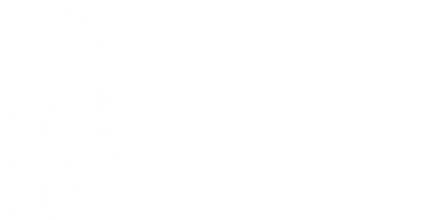 Bark to Brilliance